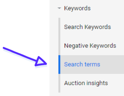 Google Ads Search Terms.