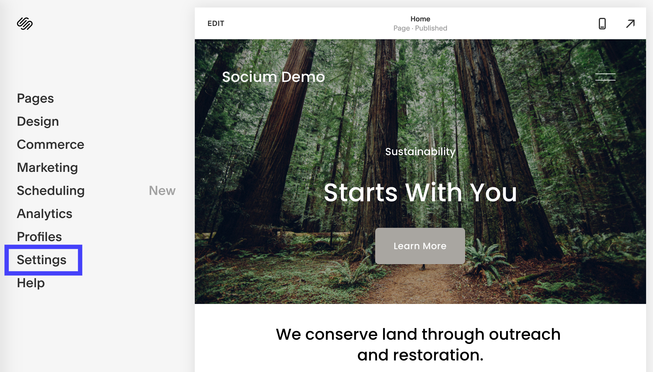 Click Settings Squarespace Settings
