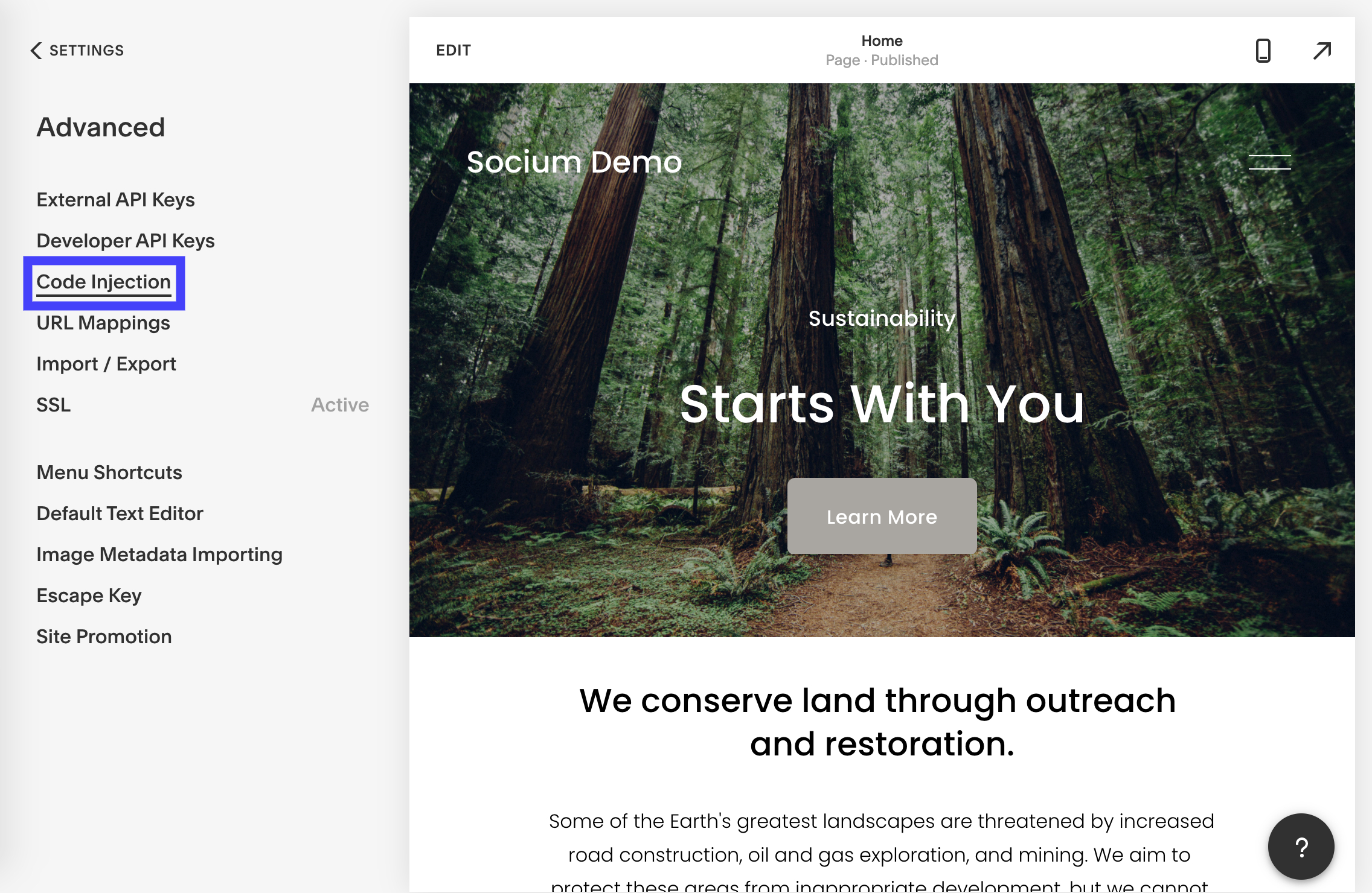 Code Injection Squarespace Code Injection